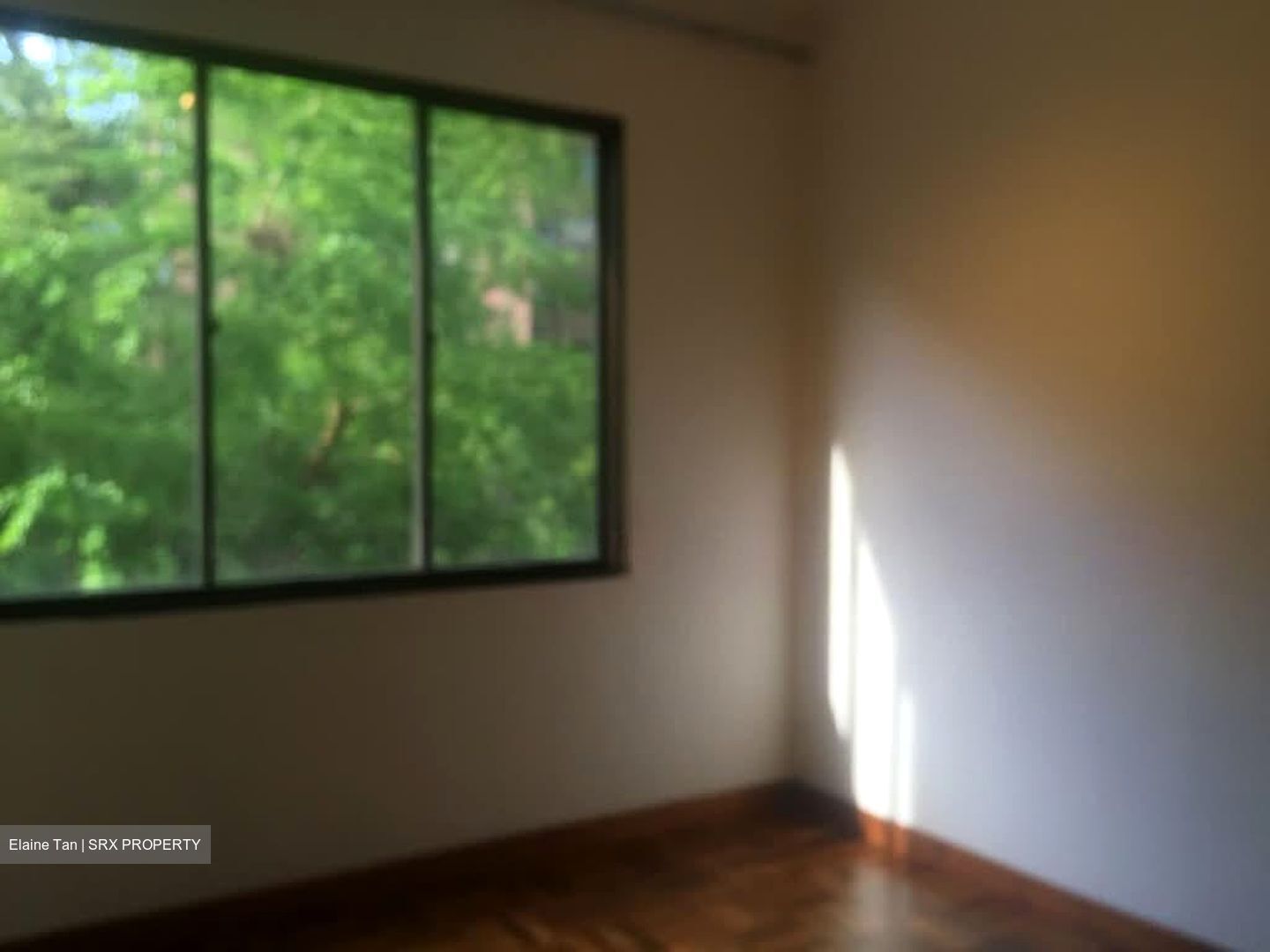 Botanic Gardens View (D10), Apartment #555846681